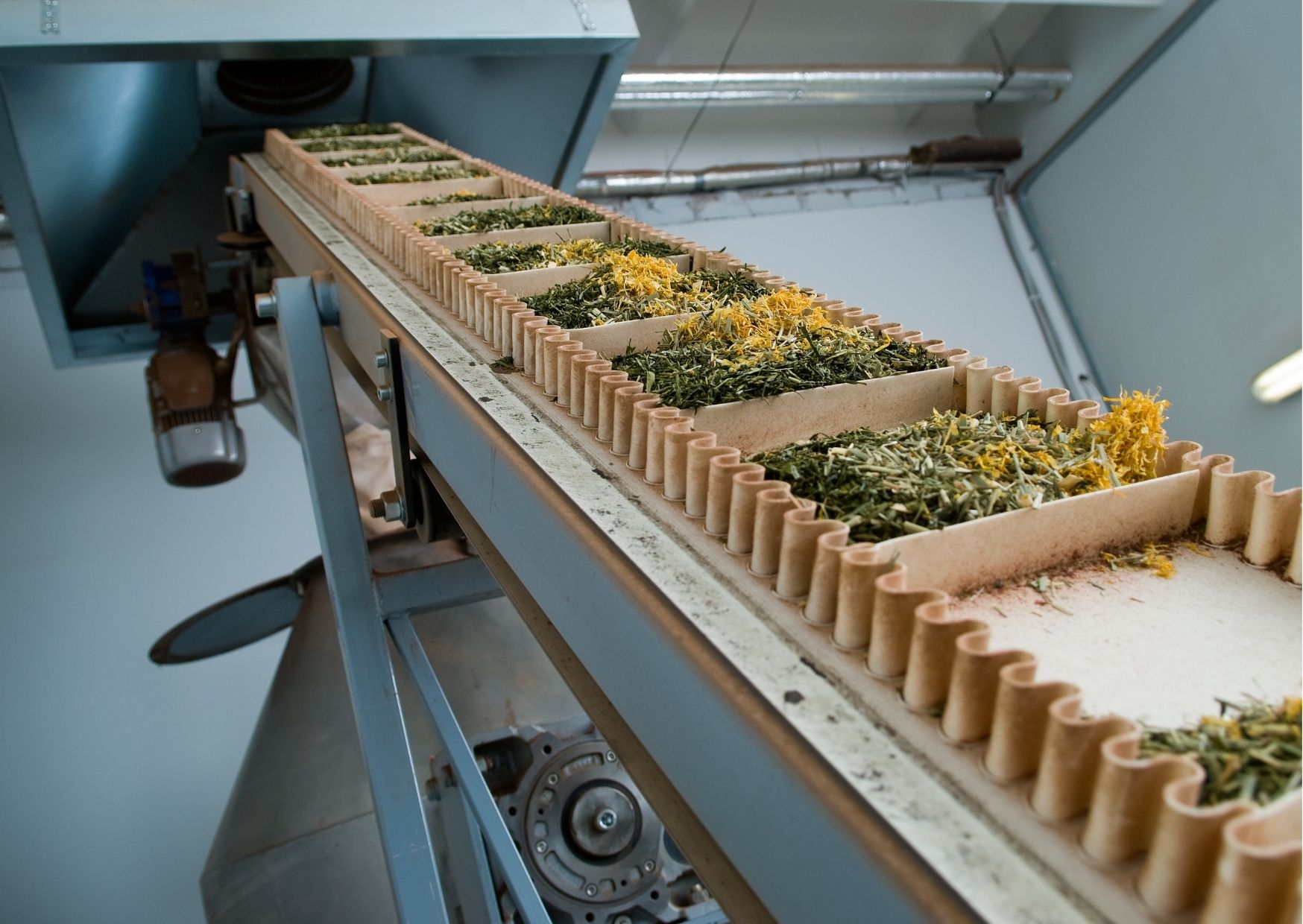创建世界上最大的柳兰茶生产基地